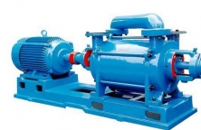 广西2SK系列两级水环真空泵